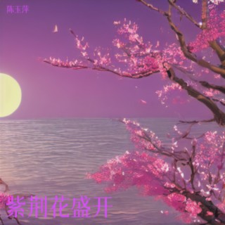 紫荆花盛开的夜晚 lyrics | Boomplay Music