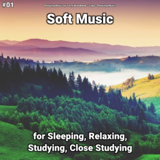#01 Soft Music for Sleeping, Relaxing, Studying, Close Studying