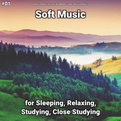 Soft Music for Studying ft. Relaxing Music by Terry Woodbead & Relaxing Music | Boomplay Music