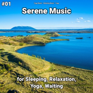 #01 Serene Music for Sleeping, Relaxation, Yoga, Waiting