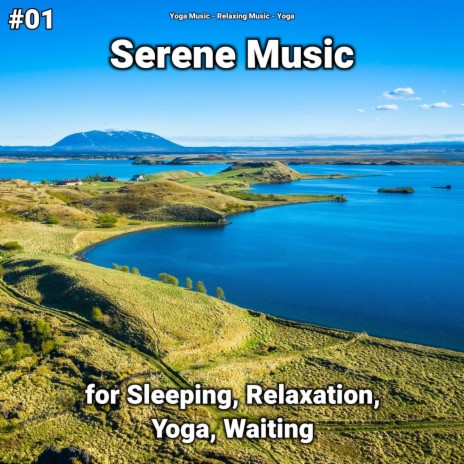 Slow Music ft. Relaxing Music & Yoga Music | Boomplay Music