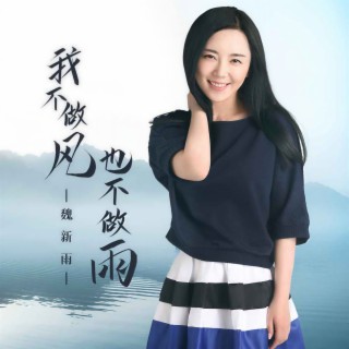 我不做风也不做雨 (DJ沈念版伴奏) lyrics | Boomplay Music