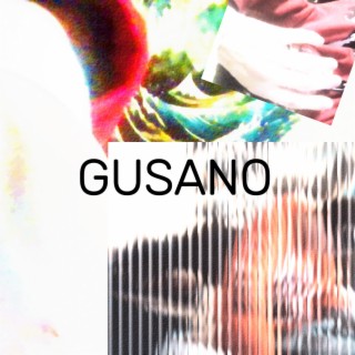 GUSANO