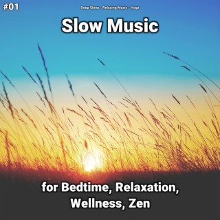 #01 Slow Music for Bedtime, Relaxation, Wellness, Zen