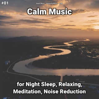 #01 Calm Music for Night Sleep, Relaxing, Meditation, Noise Reduction