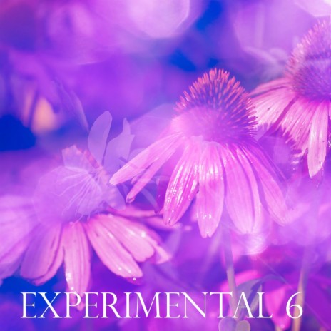 Experimental 6 | Boomplay Music