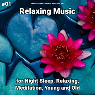 #01 Relaxing Music for Night Sleep, Relaxing, Meditation, Young and Old