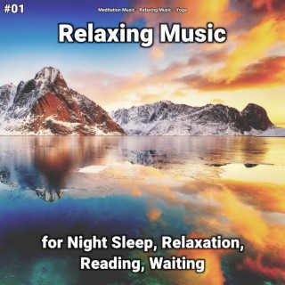 #01 Relaxing Music for Night Sleep, Relaxation, Reading, Waiting