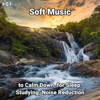 #01 Soft Music to Calm Down, for Sleep, Studying, Noise Reduction