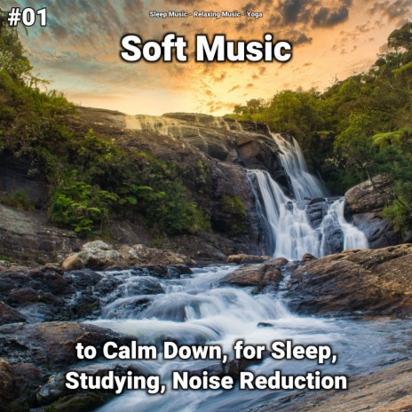 Serene Music for Studying ft. Sleep Music & Yoga