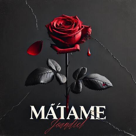 Matame | Boomplay Music