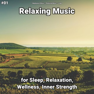 #01 Relaxing Music for Sleep, Relaxation, Wellness, Inner Strength