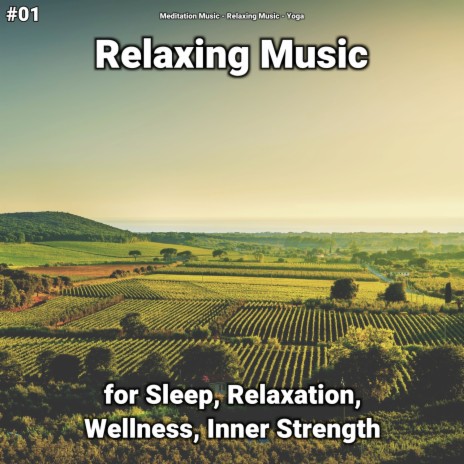 Relaxing Music for Reading ft. Relaxing Music & Meditation Music