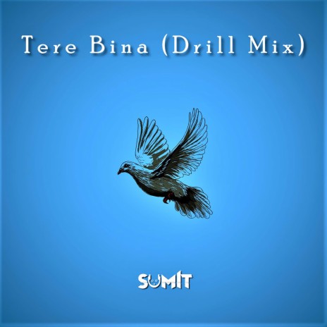Tere Bina (Drill Mix) | Boomplay Music