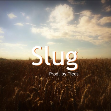 Slug | Boomplay Music