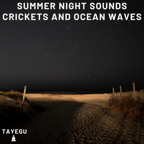 Summer Night Sounds Crickets and Ocean Waves 1 Hour Relaxing Nature Ambience Yoga Meditation Sounds For Sleeping Relaxation or Studying