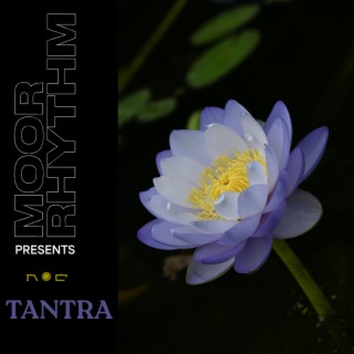 Tantra