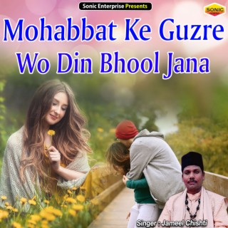 Mohabbat Ke Guzre Wo Din Bhool Jana