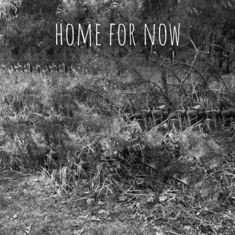 Home For Now | Boomplay Music
