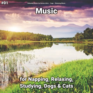 #01 Music for Napping, Relaxing, Studying, Dogs & Cats