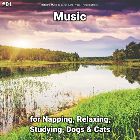 Calming Music ft. Relaxing Music by Darius Alire & Relaxing Music