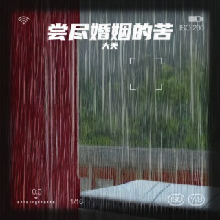 尝尽婚姻的苦 (伴奏) lyrics | Boomplay Music