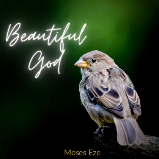 Beautiful God lyrics | Boomplay Music