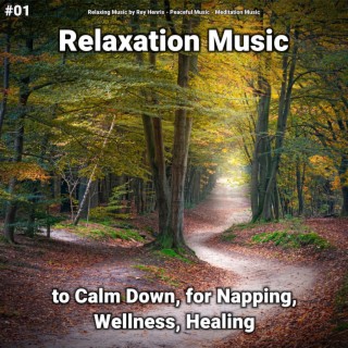 #01 Relaxation Music to Calm Down, for Napping, Wellness, Healing