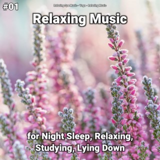 #01 Relaxing Music for Night Sleep, Relaxing, Studying, Lying Down