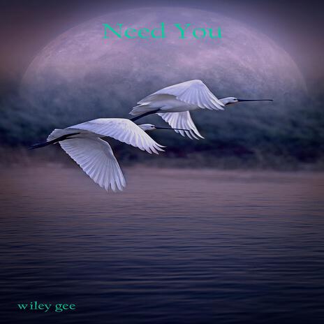 Need You