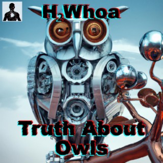 Truth About Owls