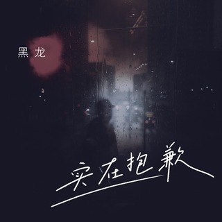 实在抱歉 (DJ阿卓版伴奏) lyrics | Boomplay Music