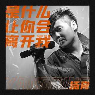 是什么让你会离开我 (伴奏) lyrics | Boomplay Music