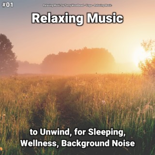 #01 Relaxing Music to Unwind, for Sleeping, Wellness, Background Noise