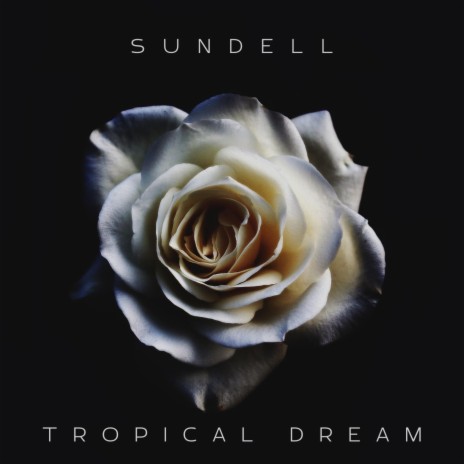 Tropical Dream | Boomplay Music