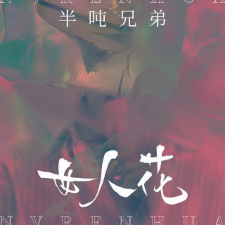 女人花 (DJ九零版伴奏) lyrics | Boomplay Music