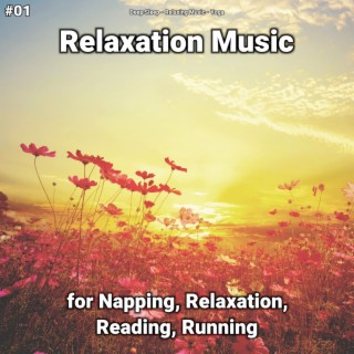 #01 Relaxation Music for Napping, Relaxation, Reading, Running