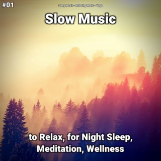 #01 Slow Music to Relax, for Night Sleep, Meditation, Wellness