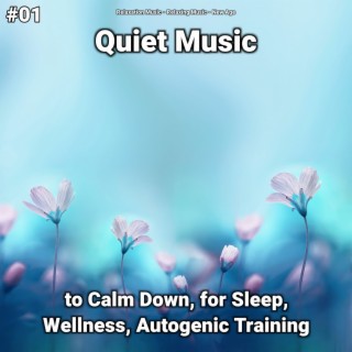 #01 Quiet Music to Calm Down, for Sleep, Wellness, Autogenic Training