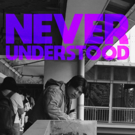 Never Understood | Boomplay Music