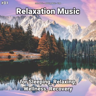 #01 Relaxation Music for Sleeping, Relaxing, Wellness, Recovery