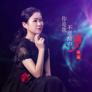 你是我不愿醒的梦 (伴奏) lyrics | Boomplay Music