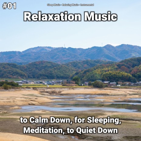 Curing Meditation ft. Sleep Music & Relaxing Music