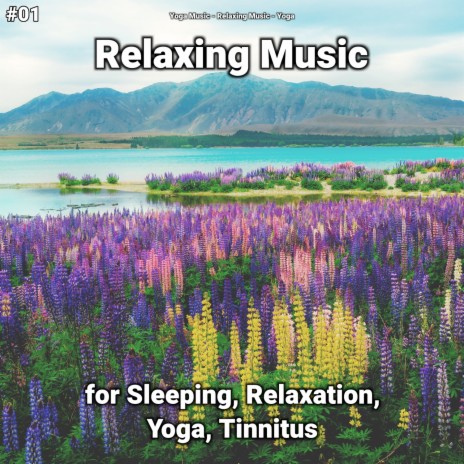 Gorgeous Quiet Music ft. Yoga & Relaxing Music