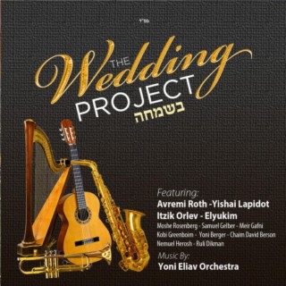 The Wedding Project Bsimcha