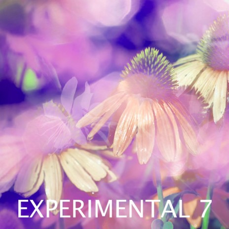 Experimental 7 | Boomplay Music