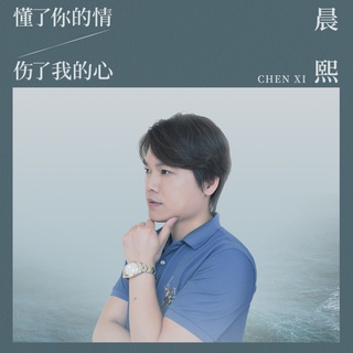 懂了你的情伤了我的心 (伴奏) lyrics | Boomplay Music