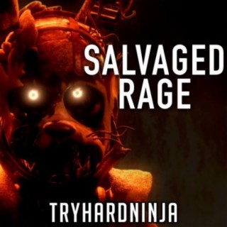 Salvaged Rage lyrics | Boomplay Music