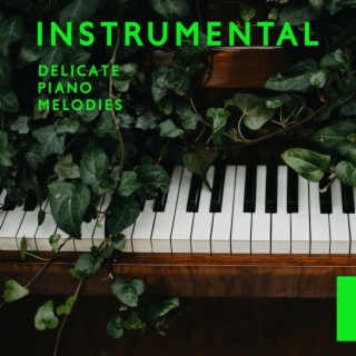 Instrumental Delicate Piano Melodies: Relax After Long Day, Drink Time