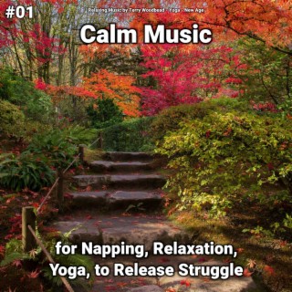 #01 Calm Music for Napping, Relaxation, Yoga, to Release Struggle